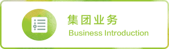 集团业务
